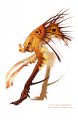spikelegmonsterf.jpg
