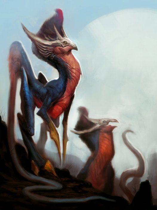 birdofprey3.jpg