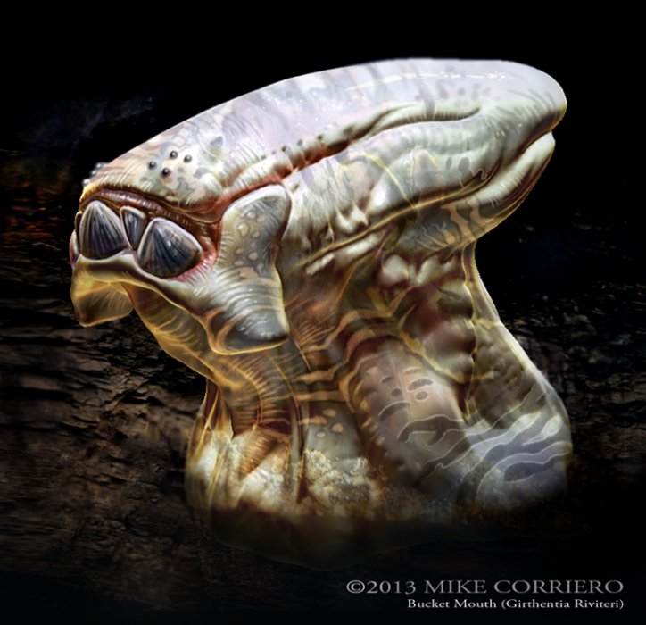 bucketmouth-mikecorriero_2013-web.jpg
