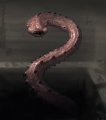 horror_creature_concept_2_worm_by_cloister-d75fi5i.jpg