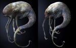 52237-3523663-parasite_002_mhfrandsendotcom.jpg