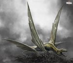 concept_art_-_godzilla_2014_-_josh_nizzi_pterodactyl.jpg