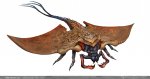 alexandre-chaudret-mpl-creature-manta-insect-final01.jpg