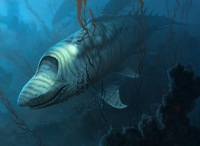 banded_giparous.jpg