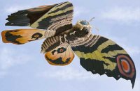 mothra3.jpg