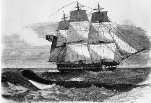 Die Seeschlange von Loch Ness wird am 4. Oktober 1848 von der Besatzung eines...