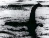 windowslivewriternessie-13d163-21-loch-ness-monster21.jpg
