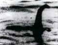 windowslivewriternessie-13d163-21-loch-ness-monster21.jpg