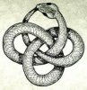 ouroboros.jpg
