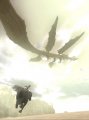 shadow_high_res_f-640x.jpg