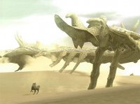sotc_1.jpg