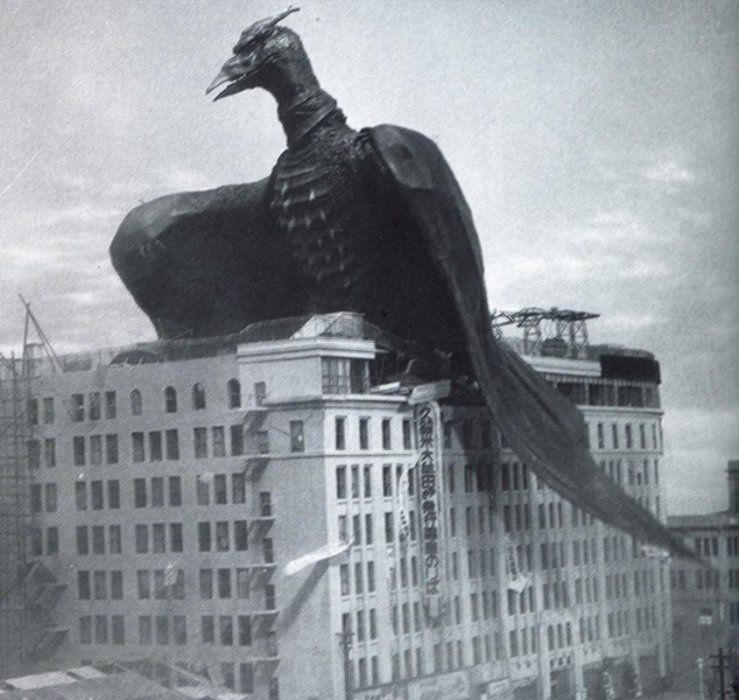 rodan01.jpg