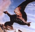 rodan_poster_detail.jpg
