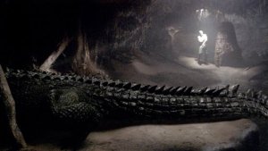 rogue_croc.jpg