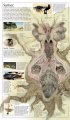 sarlacc_body.jpg