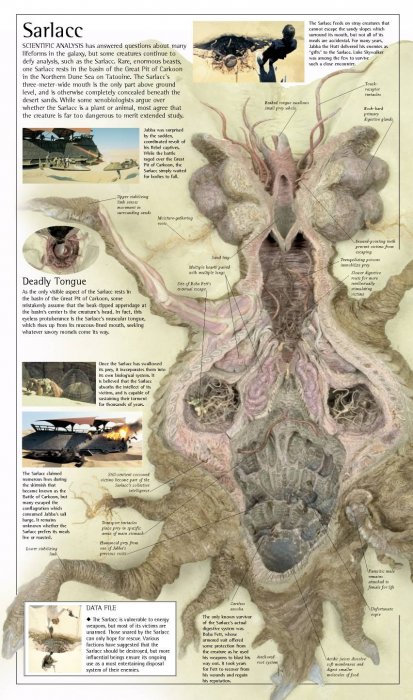 sarlacc_body.jpg