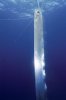 b986e590.jpg
