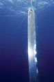 b986e590.jpg