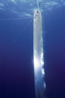 b986e590.jpg