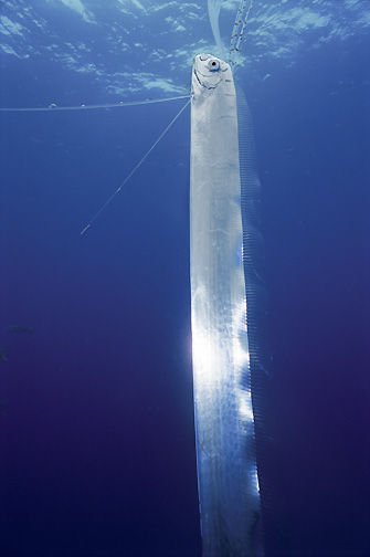 b986e590.jpg