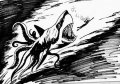 sharktopus12.jpg