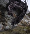 smaug_the_dragon_by_charles_burggra.jpg