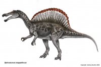 spinosaurusatuchin.jpg