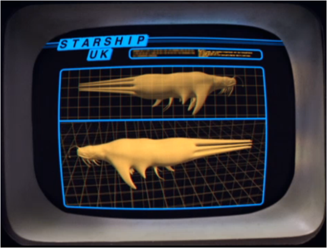 star_whale.png