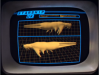 star_whale.png