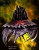 the_star_whale_by_mickmoart.jpg