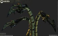 tentacle_beauty.jpg