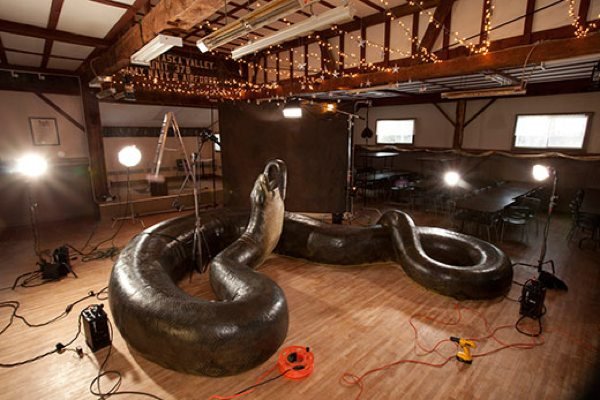 images_titanoboa-model-photo-shoot-3.jpg