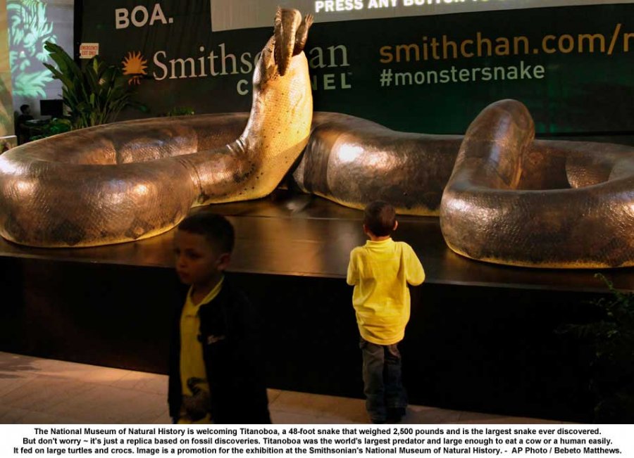 natural-history-titanoboa-snake.jpg