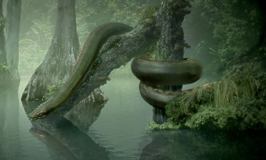 titanoboa1.jpg