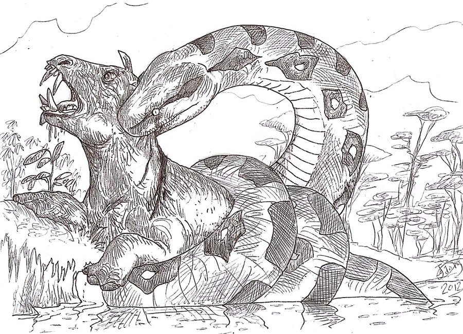 titanoboa_is_sick_of_crocs_by_hodarinundu-d4vdd9n.jpg