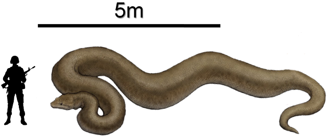 titanoboacerrejonensis.png