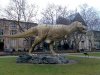 modell_tyrannosaurus_rex_lebensgross.jpg