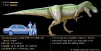 tyrannosaurus_vs_car.jpg