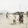 afrikanische-haustiere-04.jpg