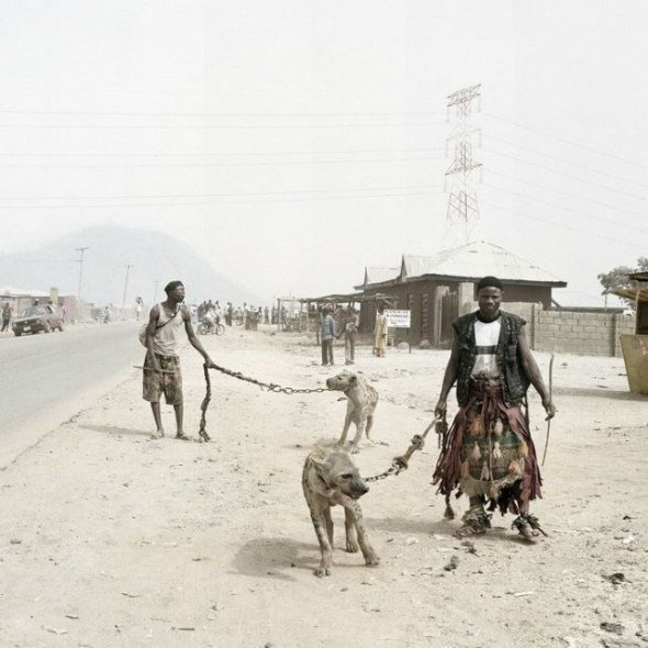 afrikanische-haustiere-04.jpg
