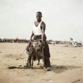 afrikanische-haustiere-06.jpg