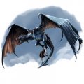 dragon-wyvern.jpg