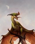 wyvern2sdfgsg.jpg