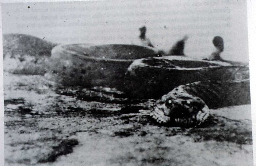 mythos_01.jpg