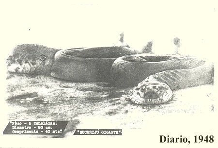 sucuriju1948.jpg