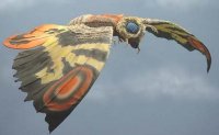 mothra1.jpg